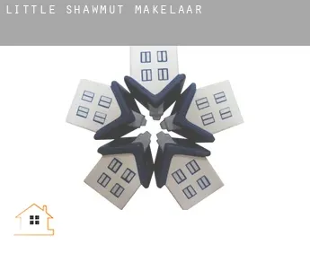 Little Shawmut  makelaar