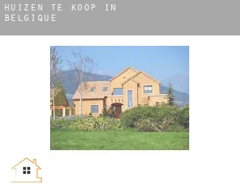 Huizen te koop in  Belgique
