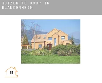 Huizen te koop in  Blankenheim