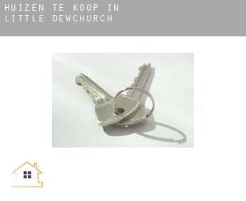 Huizen te koop in  Little Dewchurch