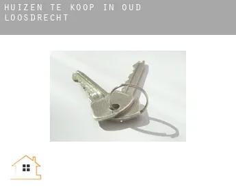 Huizen te koop in  Oud-Loosdrecht