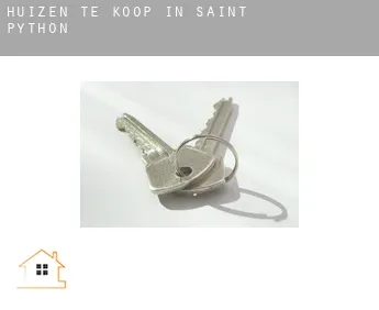 Huizen te koop in Saint-Python