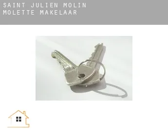 Saint-Julien-Molin-Molette  makelaar