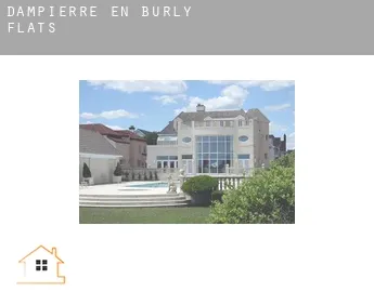 Dampierre-en-Burly  flats