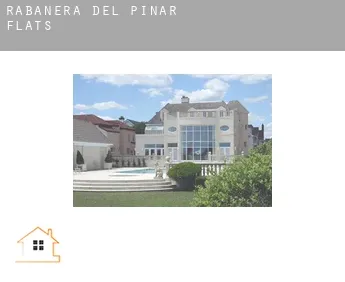 Rabanera del Pinar  flats