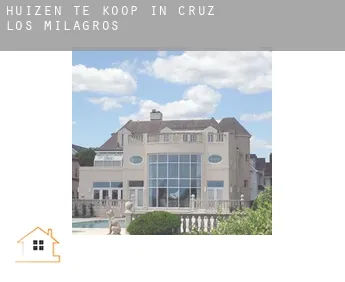 Huizen te koop in  Cruz de los Milagros