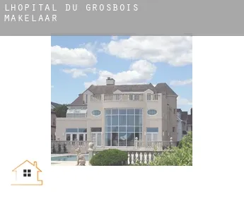 L'Hôpital-du-Grosbois  makelaar