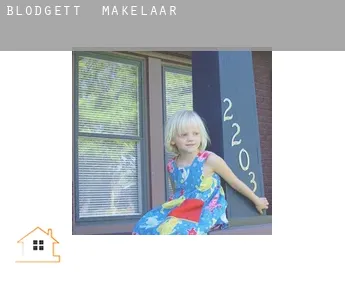 Blodgett  makelaar