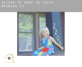 Huizen te koop in  Lucie-Bruneau (census area)