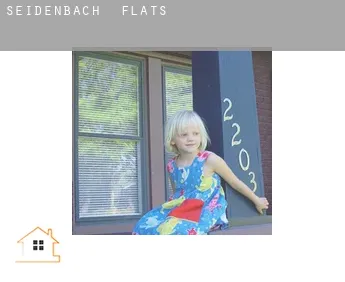 Seidenbach  flats
