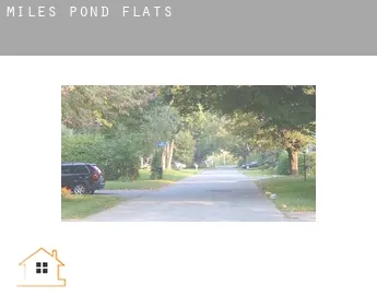 Miles Pond  flats
