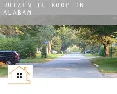 Huizen te koop in Alabama