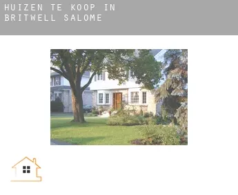 Huizen te koop in  Britwell Salome