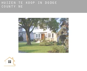 Huizen te koop in  Dodge County
