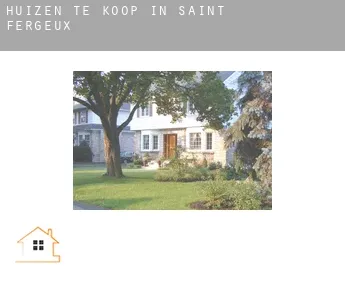 Huizen te koop in  Saint-Fergeux