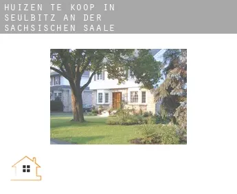 Huizen te koop in Seulbitz an der Sächsischen Saale