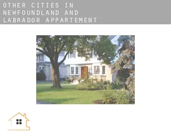 Other cities in Newfoundland and Labrador  appartement finder