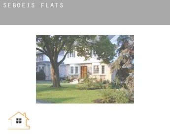Seboeis  flats