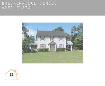 Breckenridge (census area)  flats