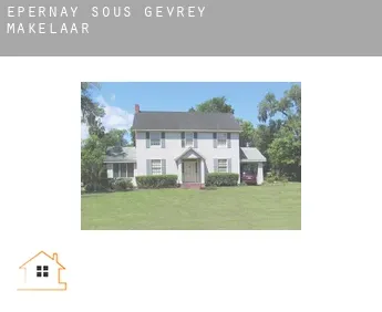 Épernay-sous-Gevrey  makelaar