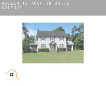 Huizen te koop in  White Sulphur