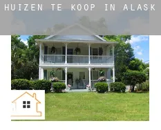 Huizen te koop in Alaska