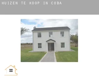 Huizen te koop in  Coba
