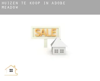 Huizen te koop in  Adobe Meadow