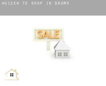 Huizen te koop in  Drums