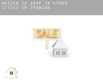 Huizen te koop in  Other cities in Trabzon