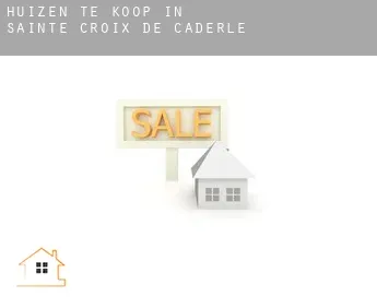 Huizen te koop in  Sainte-Croix-de-Caderle