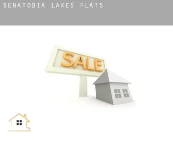 Senatobia Lakes  flats