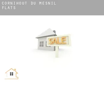 Cornihout-du-Mesnil  flats