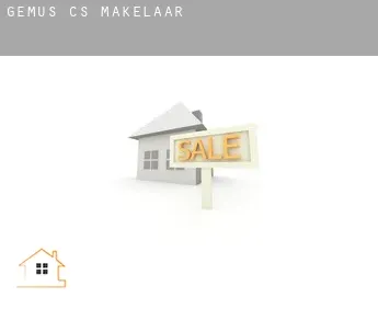 Gemus (census area)  makelaar