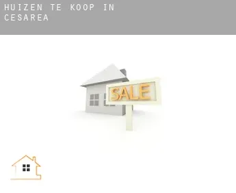 Huizen te koop in Cesarea