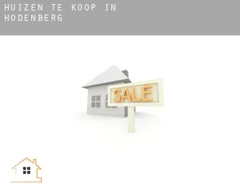 Huizen te koop in  Hodenberg