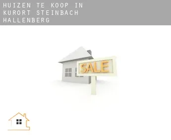 Huizen te koop in  Kurort Steinbach-Hallenberg