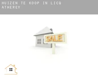 Huizen te koop in  Licq-Athérey