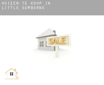 Huizen te koop in  Little Somborne