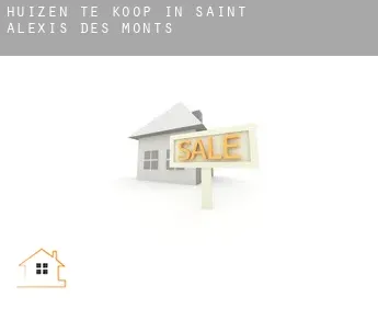 Huizen te koop in  Saint-Alexis-des-Monts