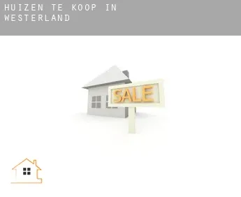 Huizen te koop in  Westerland