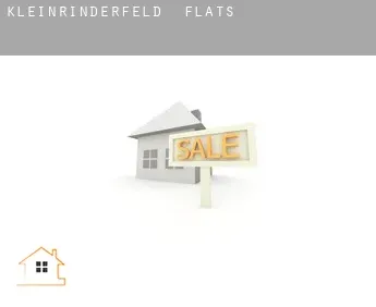 Kleinrinderfeld  flats