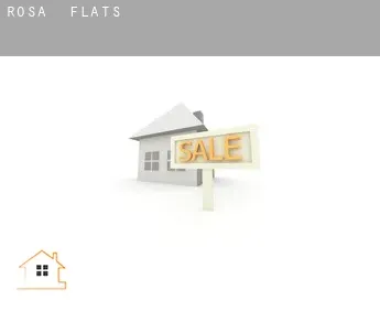Rosa  flats