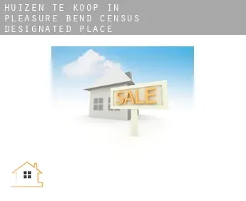 Huizen te koop in  Pleasure Bend