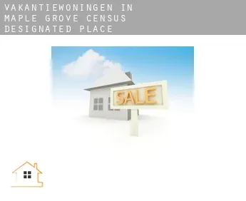 Vakantiewoningen in  Maple Grove