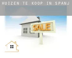 Huizen te koop in Spanje