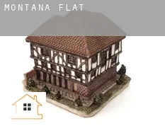 Montana flats
