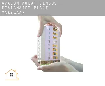 Avalon Mulat  makelaar