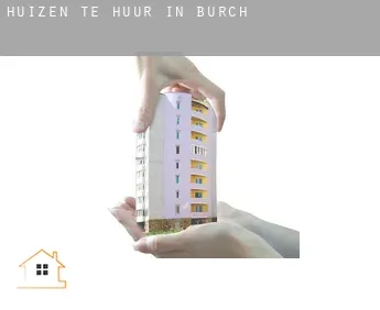 Huizen te huur in  Burch