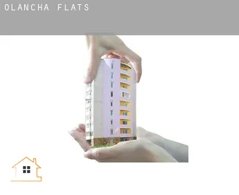 Olancha  flats